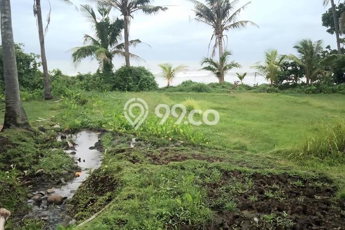 Tanah Dijual di Tabanan Seluas 6900m2 Strategis Tanah Dijual di Tabanan Seluas 6900m2 Strategis