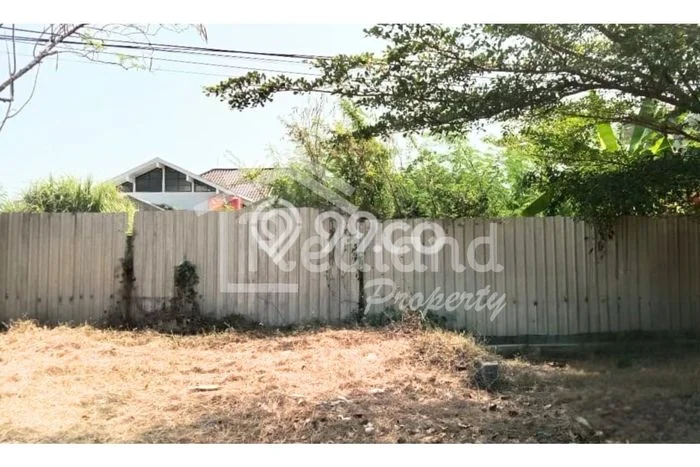 Jarang Ada! Tanah Kavling Disewakan di Semarang 1320m2 Jarang Ada! Tanah Kavling Disewakan di Semarang 1320m2