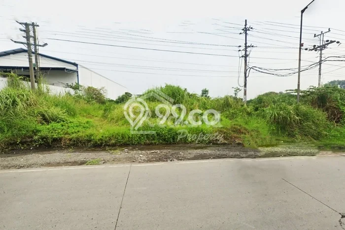 Dijual Tanah di Kaliwungu Kendal Luas 3700m2 SHM Dijual Tanah di Kaliwungu Kendal Luas 3700m2 SHM