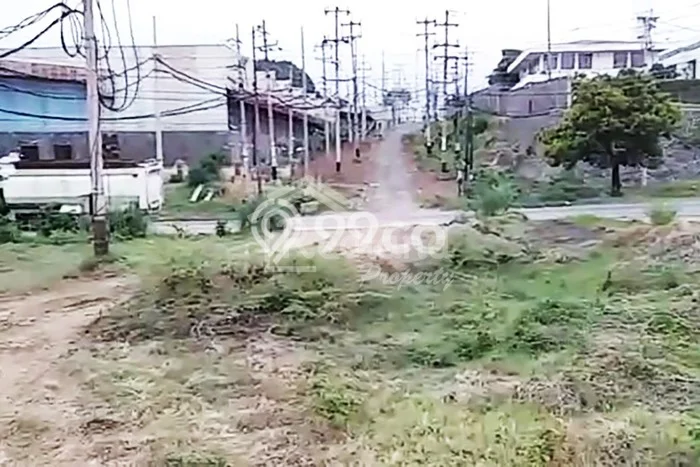 Dijual Tanah di Kaliwungu Kendal Luas 3700m2 SHM Dijual Tanah di Kaliwungu Kendal Luas 3700m2 SHM