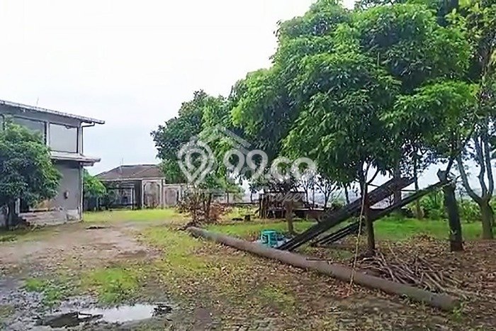 Dijual Tanah 5000m2 di Kembang Arum, Semarang Dijual Tanah 5000m2 di Kembang Arum, Semarang