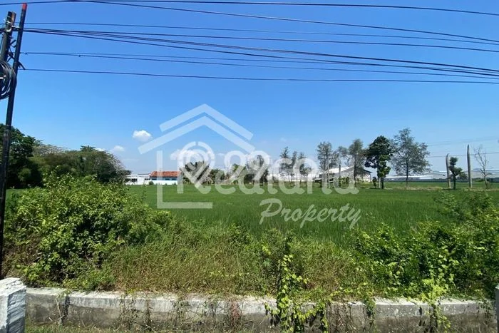 Tanah Kavling di Warureja Dijual dengan Luas 13150m2 Tanah Kavling di Warureja Dijual dengan Luas 13150m2
