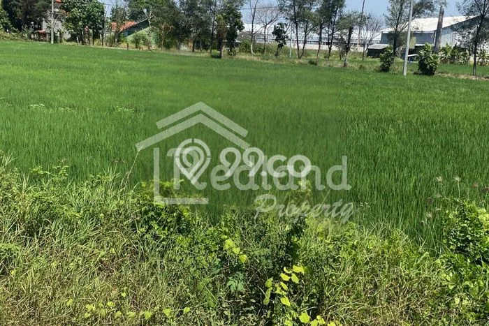 Tanah Kavling di Warureja Dijual dengan Luas 13150m2 Tanah Kavling di Warureja Dijual dengan Luas 13150m2