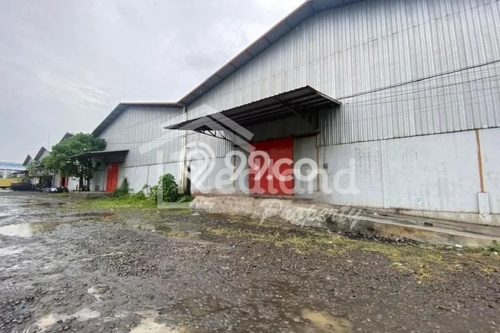 Unit Gudang Disewa Lokasi Wiradesa, Pekalongan Spesifikasi Luas Bangunan 860m2 Unit Gudang Disewa Lokasi Wiradesa, Pekalongan Spesifikasi Luas Bangunan 860m2