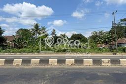 Lahan Kosong Dijual di Batang, Batang, Luas 200000m2 Area Strategis Lahan Kosong Dijual di Batang, Batang, Luas 200000m2 Area Strategis
