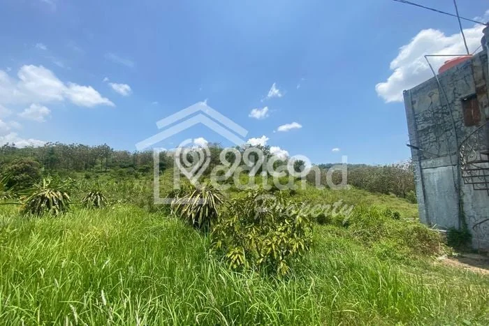 Kavling Tanah Dijual di Balapulang Tegal Spesifikasi 150000m2 Kavling Tanah Dijual di Balapulang Tegal Spesifikasi 150000m2