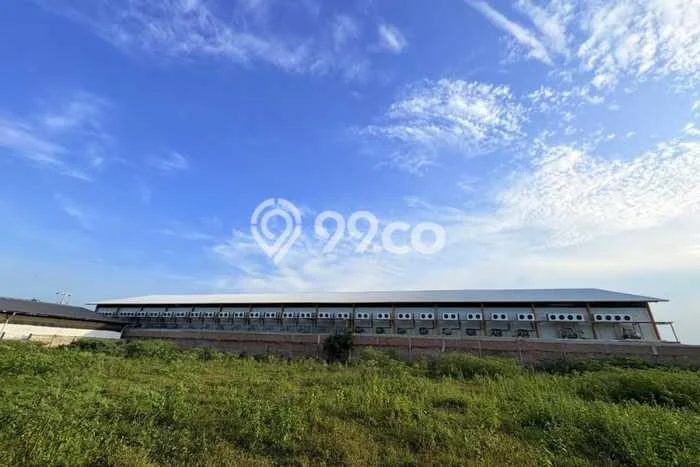 Unit Gudang Disewa Lokasi Percut Sei Tuan, Deli Serdang Spesifikasi Luas Bangunan 3000m2 Unit Gudang Disewa Lokasi Percut Sei Tuan, Deli Serdang Spesifikasi Luas Bangunan 3000m2