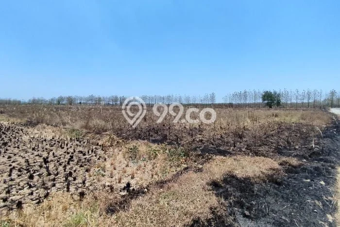 Tanah Komersial Dijual di Kertajati Majalengka 24800m2 Tanah Komersial Dijual di Kertajati Majalengka 24800m2
