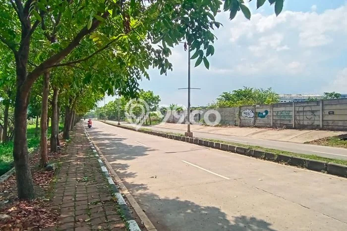 Tanah Disewakan Lokasi Gede Bage Bandung Luas 3000m2 Tanah Disewakan Lokasi Gede Bage Bandung Luas 3000m2