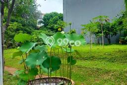 Untuk Dijual Tanah 768m2 di Pantai Indah Kapuk, Jakarta Utara Untuk Dijual Tanah 768m2 di Pantai Indah Kapuk, Jakarta Utara