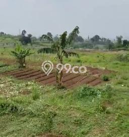 Dijual Tanah di Parongpong, Luas 650000m2m², Akses Parongpong, Bandung Barat, Bandung Barat Dijual Tanah di Parongpong, Luas 650000m2m², Akses Parongpong, Bandung Barat, Bandung Barat