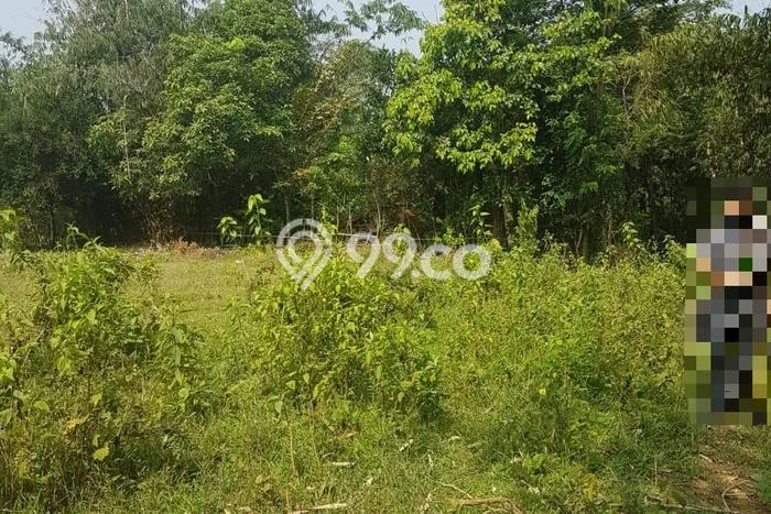 Lahan untuk Dijual Lokasi Bogor Timur, Bogor Luas 12000m2 - Lahan untuk Dijual Lokasi Bogor Timur, Bogor Luas 12000m2 -
