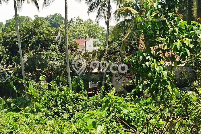 Tanah Dijual Lokasi Setu, Tangerang Selatan dengan Luas Tanah 6000m2 dan Status SHM Tanah Dijual Lokasi Setu, Tangerang Selatan dengan Luas Tanah 6000m2 dan Status SHM