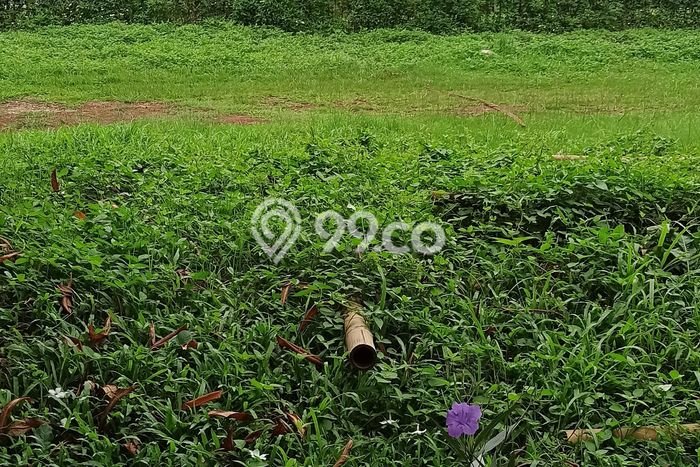 Tanah Kavling Dijual di Tangerang dengan Spesifikasi 120m2 Tanah Kavling Dijual di Tangerang dengan Spesifikasi 120m2