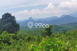 Lahan Investasi Lokasi Cariu Bogor SHM Lahan Investasi Lokasi Cariu Bogor SHM