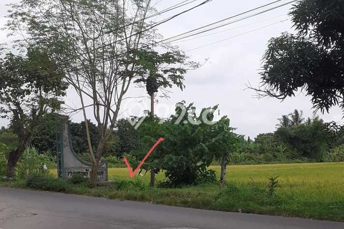 Jarang Ada! Tanah di Kasihan Punya Luas 3400m2 SHM Jarang Ada! Tanah di Kasihan Punya Luas 3400m2 SHM