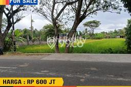 Tanah Dijual Area Strategis di Bambanglipuro Bantul 626m2 Tanah Dijual Area Strategis di Bambanglipuro Bantul 626m2