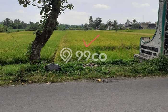 Jarang Ada! Tanah di Kasihan Punya Luas 3400m2 SHM Jarang Ada! Tanah di Kasihan Punya Luas 3400m2 SHM