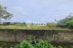 Tanah Dijual Area Strategis di canggu Badung 2950m2 Tanah Dijual Area Strategis di canggu Badung 2950m2