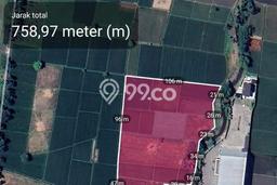 Jarang Ada! Tanah di Lumajang Punya Luas 20000m2 SHM Jarang Ada! Tanah di Lumajang Punya Luas 20000m2 SHM