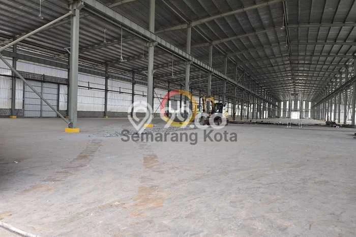 Gudang disewakan lokasi strategis Gringsing Batang 10080m2 Gudang disewakan lokasi strategis Gringsing Batang 10080m2