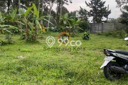 Tanah Kavling di Argomulyo Dijual dengan Luas 1732m2 Tanah Kavling di Argomulyo Dijual dengan Luas 1732m2