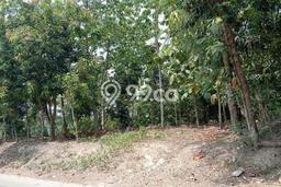 Tanah Kosong Dijual di Karawang dengan Area 6040m2 Tanah Kosong Dijual di Karawang dengan Area 6040m2