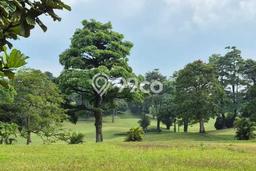 Dijual Tanah 695m2 di Rancamaya, Bogor Dijual Tanah 695m2 di Rancamaya, Bogor