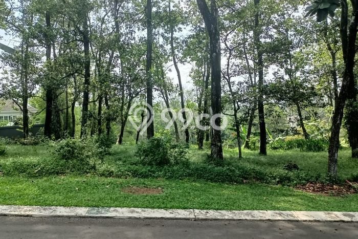 Lahan Dijual Lokasi Strategis di Bogor dengan Luas 507m2 Lahan Dijual Lokasi Strategis di Bogor dengan Luas 507m2