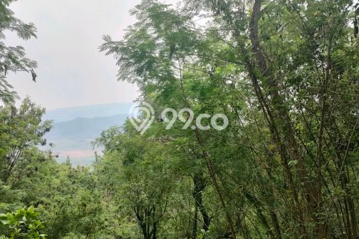 Tanah Siap Bangun Dijual di Bogor Punya Luas 889m2 Tanah Siap Bangun Dijual di Bogor Punya Luas 889m2