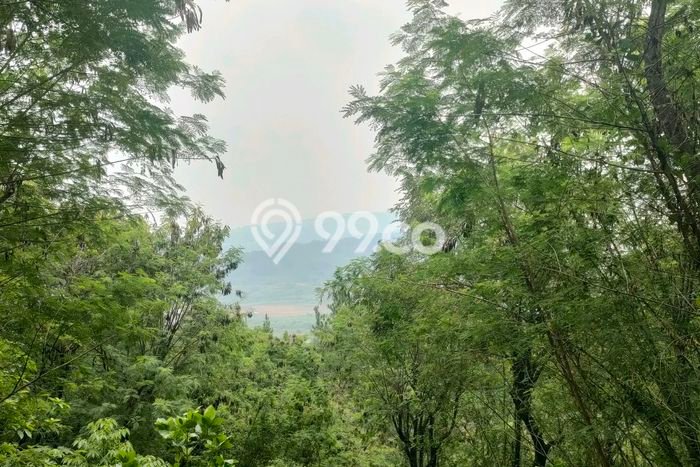 Tanah Siap Bangun Dijual di Bogor Punya Luas 889m2 Tanah Siap Bangun Dijual di Bogor Punya Luas 889m2