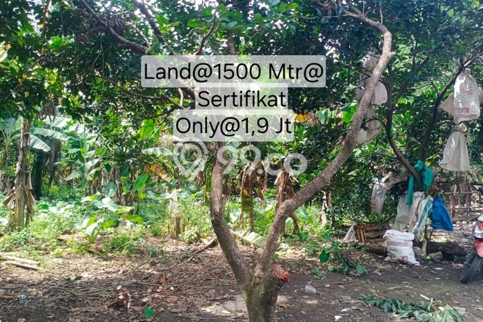 Tanah Dijual Lokasi Strategis di Bogor dengan Luas 1500m2 Tanah Dijual Lokasi Strategis di Bogor dengan Luas 1500m2