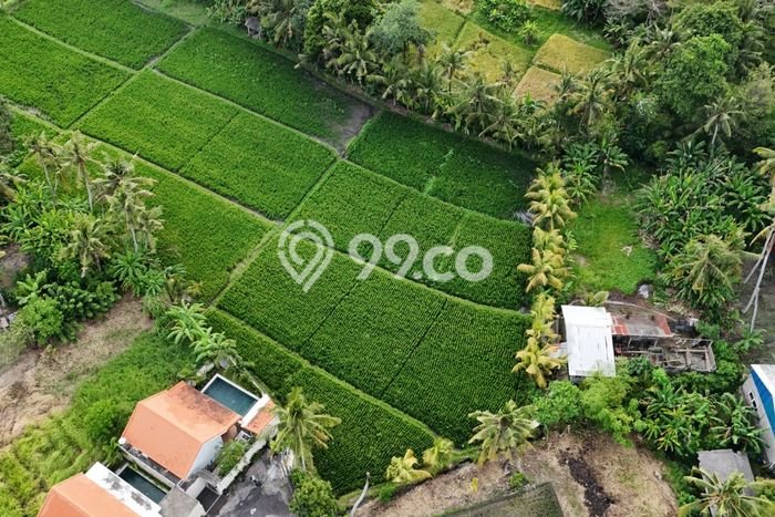 Tanah Dijual Lokasi Strategis di Tabanan dengan Luas 125m2 Tanah Dijual Lokasi Strategis di Tabanan dengan Luas 125m2