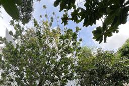 Tanah Kavling Dijual di Jakarta Utara dengan Spesifikasi 560m2 Tanah Kavling Dijual di Jakarta Utara dengan Spesifikasi 560m2