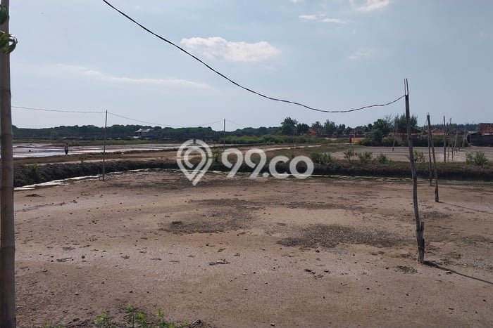 Tanah Dijual Lokasi Lasem, Rembang Luas 90000m2 Legalitas Aman Tanah Dijual Lokasi Lasem, Rembang Luas 90000m2 Legalitas Aman