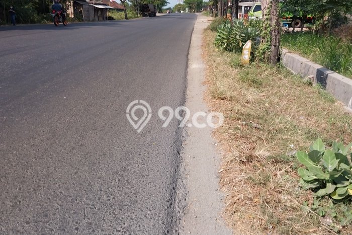 Tanah Dijual Lokasi Lasem, Rembang Luas 90000m2 Legalitas Aman Tanah Dijual Lokasi Lasem, Rembang Luas 90000m2 Legalitas Aman