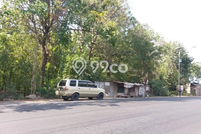 Lahan Strategis di Lasem Dijual dengan Luas 9600m2 Lahan Strategis di Lasem Dijual dengan Luas 9600m2