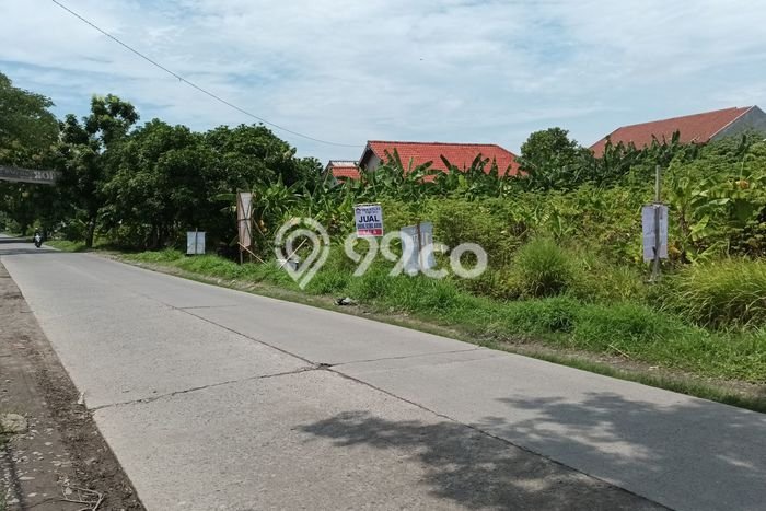 HARGA MENARIK! Tanah Kawasan Sayung, Luas 1512m², Area Asri, Bebas Banjir HARGA MENARIK! Tanah Kawasan Sayung, Luas 1512m², Area Asri, Bebas Banjir