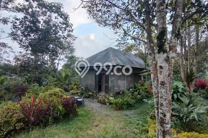 Vila Kawasan Getasan, Dimensi 1212m2m², Akses ke berbagai fasilitas umum Vila Kawasan Getasan, Dimensi 1212m2m², Akses ke berbagai fasilitas umum
