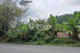 Kavling Tanah Dijual di Ungaran Timur, Semarang, Luas 5460m2 Area Strategis Kavling Tanah Dijual di Ungaran Timur, Semarang, Luas 5460m2 Area Strategis