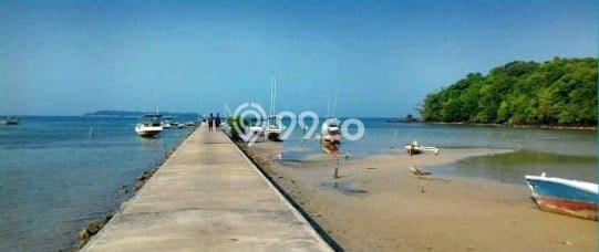 Lahan Kosong Dijual di Karimunjawa, Jepara, Luas 63850m2 Area Strategis Lahan Kosong Dijual di Karimunjawa, Jepara, Luas 63850m2 Area Strategis