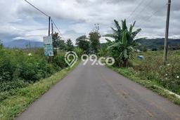 Kavling Tanah Dijual di Bandungan Semarang Spesifikasi 1290m2 Kavling Tanah Dijual di Bandungan Semarang Spesifikasi 1290m2