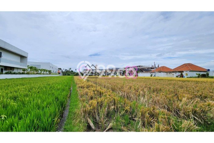 Tanah Disewa Strategis di Badung Luas 1000m2 Tanah Disewa Strategis di Badung Luas 1000m2