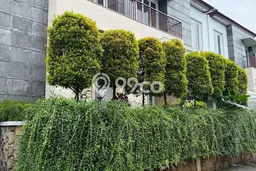 Rumah Elit LB 300m2 Siap Pakai Desain Elegan di Ragunan, Jakarta Selatan Rumah Elit LB 300m2 Siap Pakai Desain Elegan di Ragunan, Jakarta Selatan