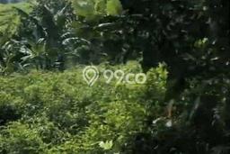 Tanah Siap Bangun Dijual di Bogor Punya Luas 992800m2 Tanah Siap Bangun Dijual di Bogor Punya Luas 992800m2