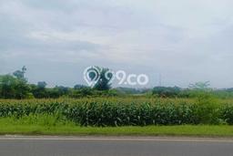 Lahan untuk Dijual di Paciran Lamongan Luas 3250m2 Lahan untuk Dijual di Paciran Lamongan Luas 3250m2