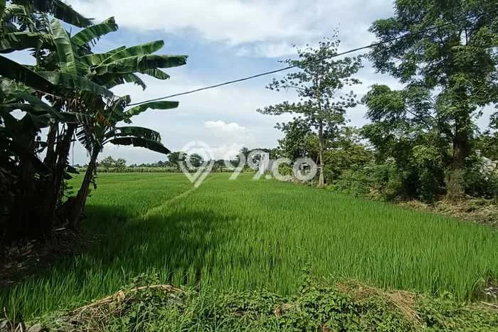 Tanah Dijual Area Strategis di Jombang Kota Jombang 5057m2 Tanah Dijual Area Strategis di Jombang Kota Jombang 5057m2