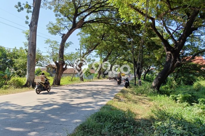 Tanah Kavling di Kraton Dijual dengan Luas 16850m2 Tanah Kavling di Kraton Dijual dengan Luas 16850m2