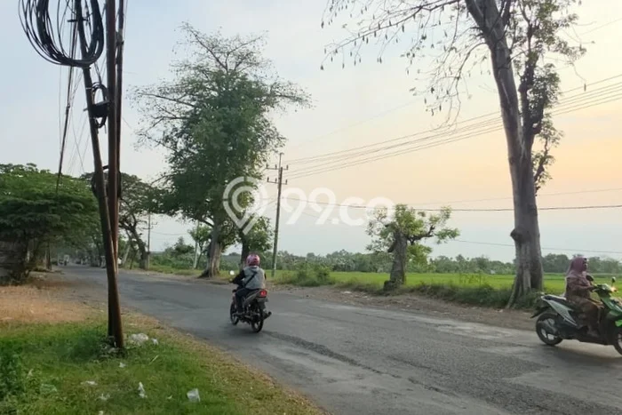 Jarang Ada! Tanah di Kraton Punya Luas 11000m2 SHM Jarang Ada! Tanah di Kraton Punya Luas 11000m2 SHM
