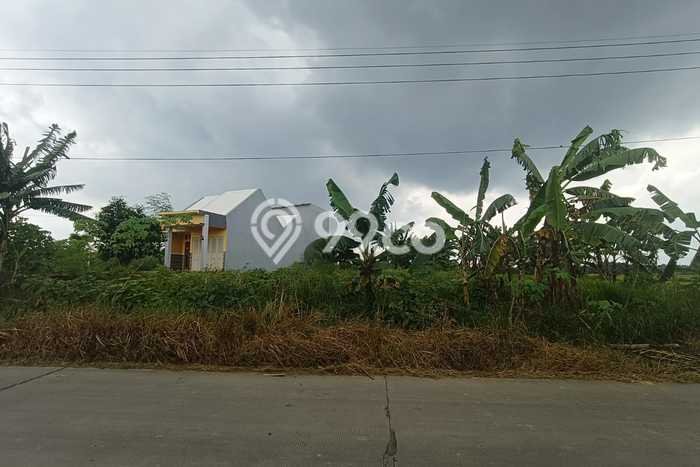 Untuk Dijual Tanah 1890m2 di Dawarblandong, Mojokerto Untuk Dijual Tanah 1890m2 di Dawarblandong, Mojokerto
